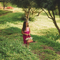 Girls Dress - Bird of Paradise Bright Tropical Print - Baby, Toddler or Kids Dress - Small Batch Handmade in Maui, Hawaii