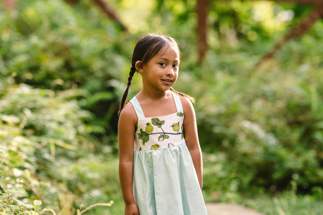 Girls Twirl Dress - ʻAmakihi Bird Dress - Handmade Hawaiian Cotton Dress - Toddler & Baby Girls Dress