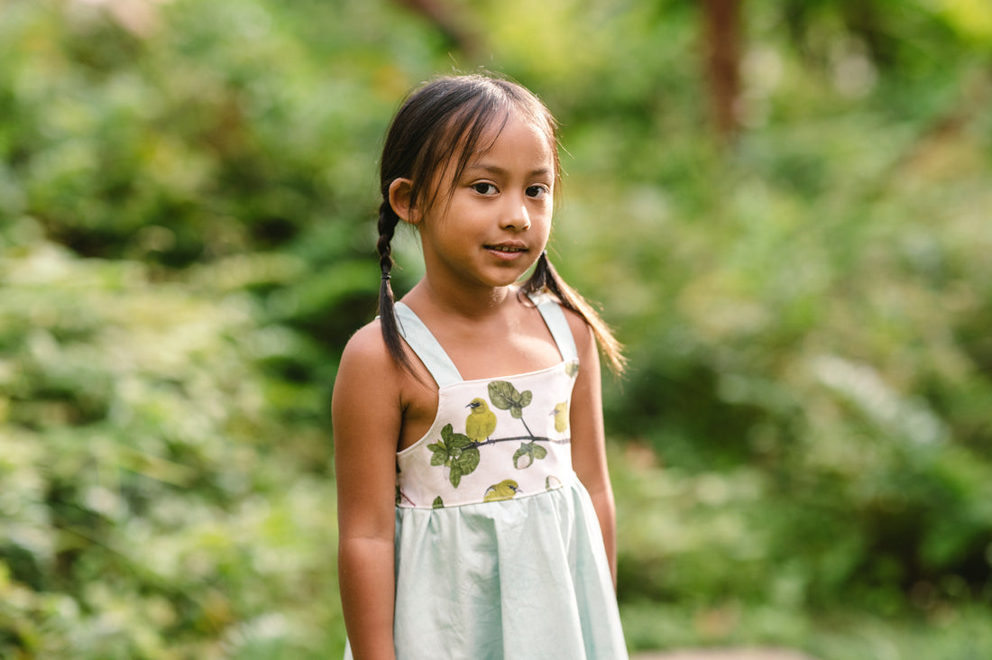 Girls Twirl Dress - ʻAmakihi Bird Dress - Handmade Hawaiian Cotton Dress - Toddler & Baby Girls Dress
