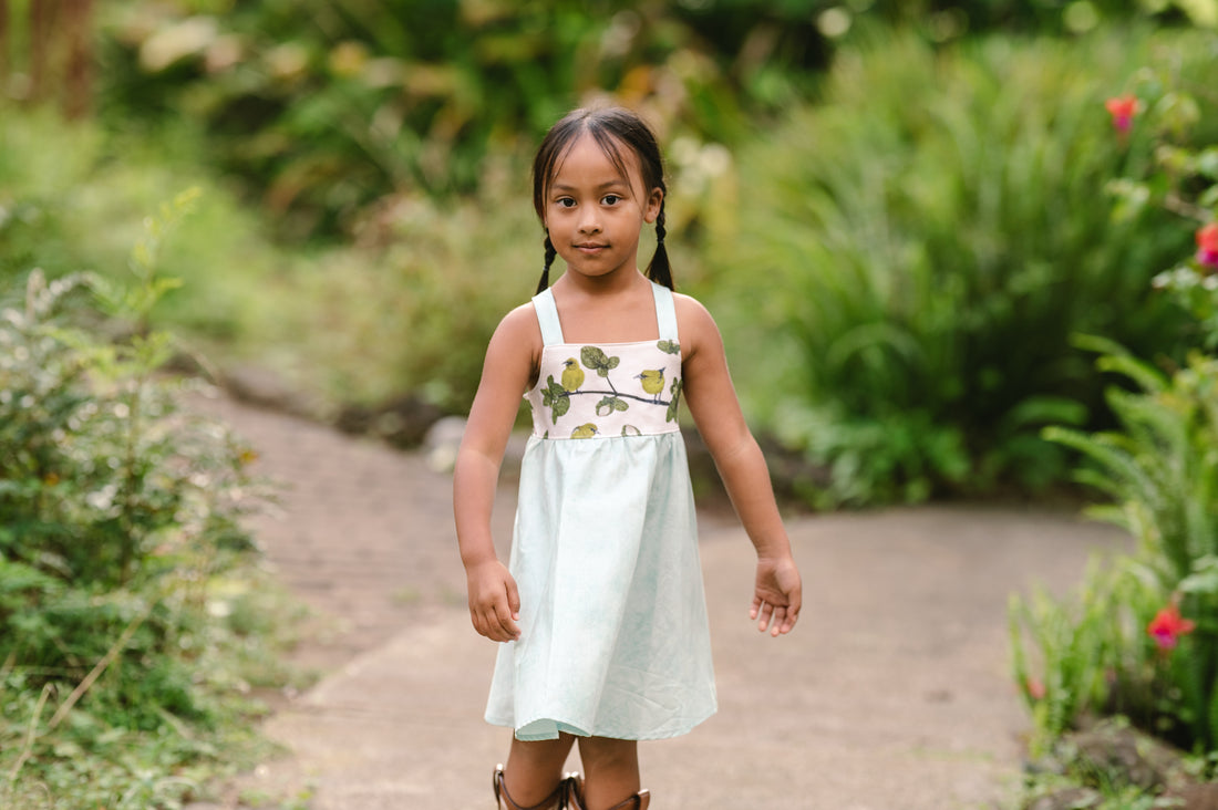 Girls Twirl Dress - ʻAmakihi Bird Dress - Handmade Hawaiian Cotton Dress - Toddler & Baby Girls Dress