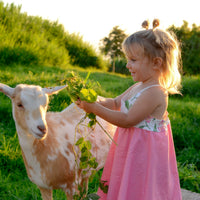 Handmade Hawaiian Girls Twirl Dress -  Plumeria Print
