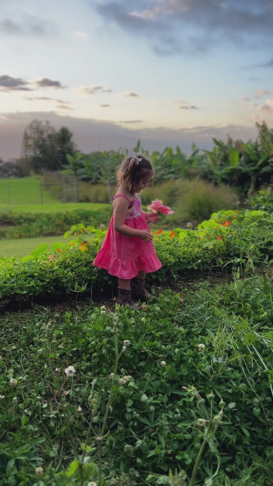 Girls Dress - Bright Multi Colored Hibiscus Print  - Toddler Dress - Baby Girl Dress - Small Batch Ethically Made in Maui, Hawaii USA